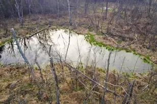 N4555 17th Dr, Wautoma, WI 54982 - Photo 38