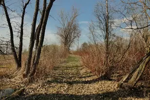 N6604 Ballard Rd, Seymour, WI 54165 - Photo 60