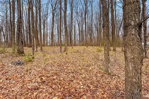 10257 Cedar Valley Ln, Suring, WI 54174 - Photo 12