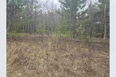 Hwy 141, Niagara, WI 54151 - Photo 2