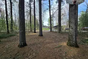 W10962 Curtis Lake Ln, Coloma, WI 54930 - Photo 46