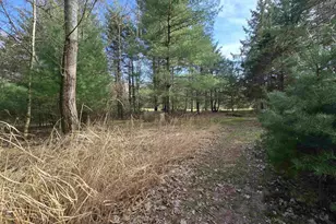 W10962 Curtis Lake Ln, Coloma, WI 54930 - Photo 48