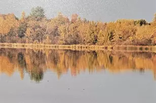 W10962 Curtis Lake Ln, Coloma, WI 54930 - Photo 52