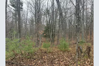 Roush Road, Wausaukee, WI 54177 - Photo 8