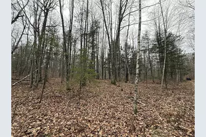 Roush Road, Wausaukee, WI 54177 - Photo 2