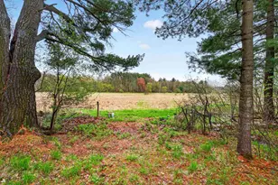 N6989 County Rd A, Weyauwega, WI 54983 - Photo 60