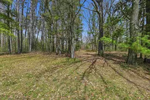 W8224 Cottonville Ln, Wautoma, WI 54982 - Photo 48