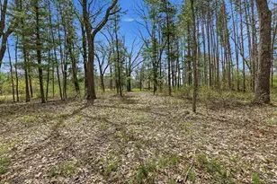 W8224 Cottonville Ln, Wautoma, WI 54982 - Photo 46