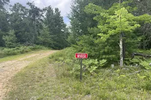 W9808 Trout Haven Rd, Dunbar, WI 54119 - Photo 24