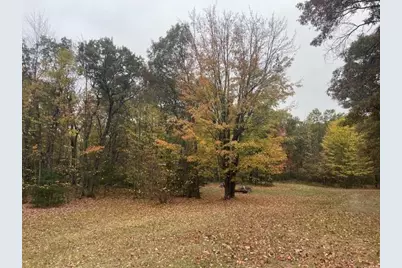W9808 Trout Haven Road, Dunbar, WI 54119 - Photo 22