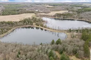 N6855 Lake Dr, Wild Rose, WI 54984 - Photo 46
