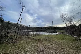 N6855 Lake Dr, Wild Rose, WI 54984 - Photo 38