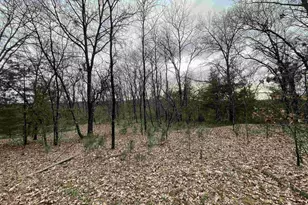 N6855 Lake Dr, Wild Rose, WI 54984 - Photo 30