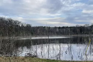 N6855 Lake Dr, Wild Rose, WI 54984 - Photo 36