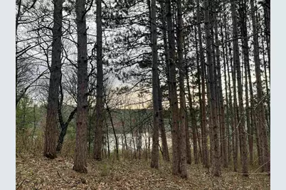 N6855 Lake Drive, Wild Rose, WI 54984 - Photo 34