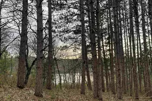 N6855 Lake Dr, Wild Rose, WI 54984 - Photo 34