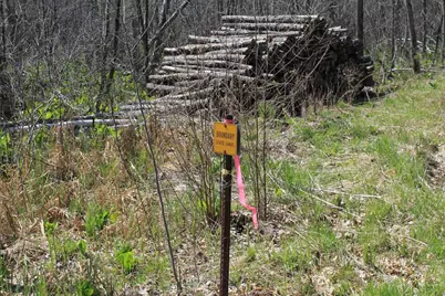 N10755 Ashley Road, Clintonville, WI 54929 - Photo 34