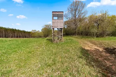 W7995 Apache Drive, Wild Rose, WI 54984 - Photo 36