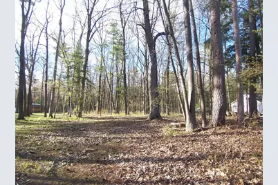 Machickanee Lane, Lena, WI 54139 - Photo 6