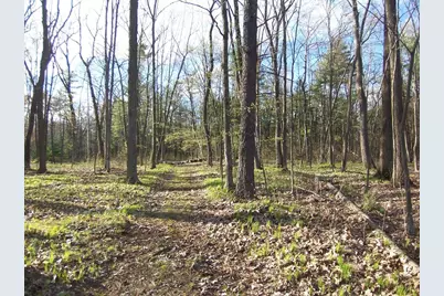 Machickanee Lane, Lena, WI 54139 - Photo 4