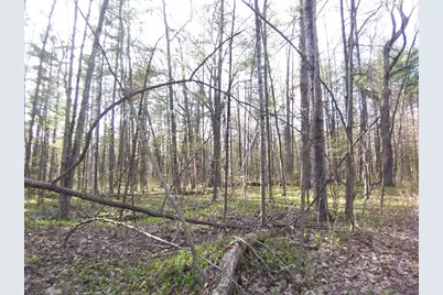 Machickanee Lane, Lena, WI 54139 - Photo 10