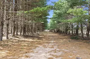 W4506 County Rd TT, Wild Rose, WI 54984 - Photo 28
