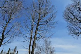 7968 W Herzog Rd, Iron Mountain, MI 49801 - Photo 50