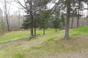N6997 Left Foot Lake Rd, Crivitz, WI 54114 - Photo 50