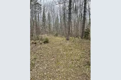 4475 Sth 139, Long Lake, WI 54542 - Photo 8