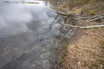 Little Long Lake Lane, Wabeno, WI 54566 - Photo 22