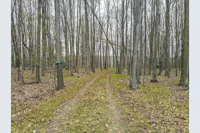 Little Long Lake Lane, Wabeno, WI 54566 - Photo 14