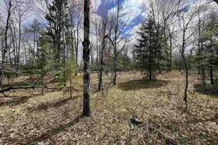Nejedlo Rd, Wausaukee, WI 54177 - Photo 1