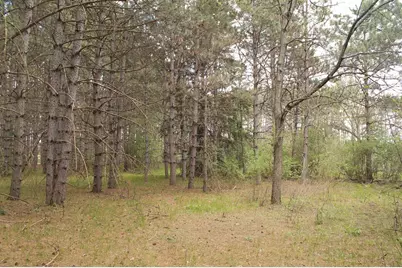 8th Road, Westfield, WI 53964 - Photo 6