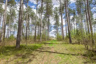 8545 Co Rd V, Suring, WI 54174 - Photo 38