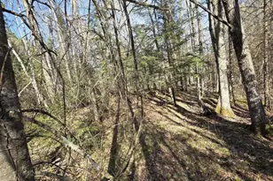 W7793 Bergeson Ln, Amberg, WI 54102 - Photo 38