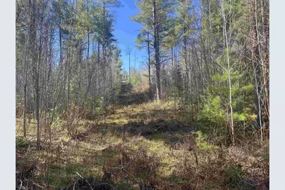 N17069 Spangenberg Road, Pembine, WI 54156 - Photo 24