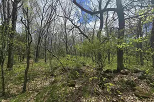 N4106 9th Ln, Hancock, WI 54943 - Photo 38