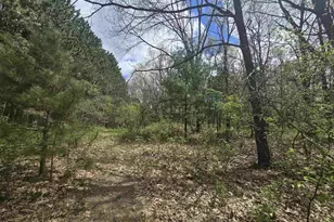 N4106 9th Ln, Hancock, WI 54943 - Photo 4
