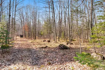 Buettner Road, White Lake, WI 54491 - Photo 4