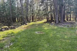 N4207 Johnson Rd, Edgerton, WI 54486 - Photo 8