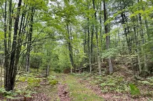 County Rd Oo, Pembine, WI 54156 - Photo 1