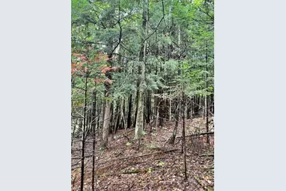 County Rd Oo, Pembine, WI 54156 - Photo 20