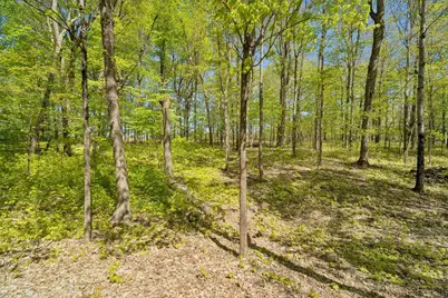 9660 Manu Road, Fremont, WI 54940 - Photo 38