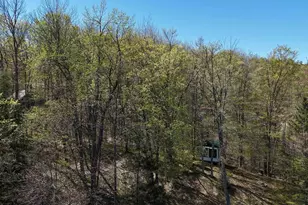 16651 Dolittle Ln, Townsend, WI 54175 - Photo 8