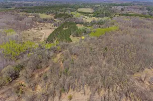 N13898 Mathis Rd, Amberg, WI 54102 - Photo 58