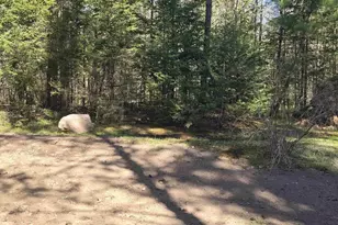 14149 Section 4 Ln, Mountain, WI 54149 - Photo 22