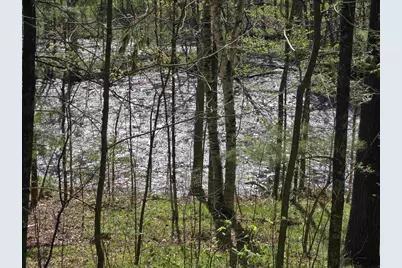 14149 Section 4 Lane, Mountain, WI 54149 - Photo 2