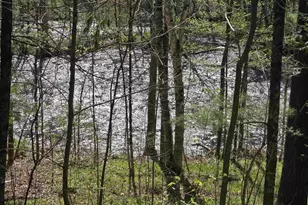 14149 Section 4 Ln, Mountain, WI 54149 - Photo 2