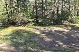 14149 Section 4 Ln, Mountain, WI 54149 - Photo 20