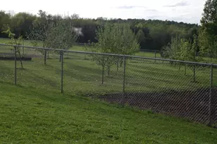 E7696 Horn Rd, Marion, WI 54950 - Photo 56